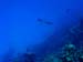 eagleray531