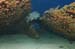 deepgrouper