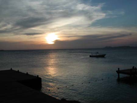 habitatsunset