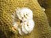 P4115728-2-JH
