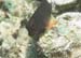 housereef41820060418001