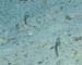 housereef41820060418007
