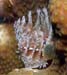 housereef41820060418008
