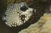 housereef41820060418012