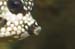 housereef41820060418013