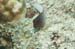 housereef41820060418016