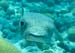 housereef41820060418020