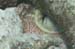 housereef41820060418021