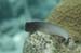housereef41820060418023