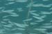 housereef41820060418024