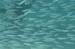 housereef41820060418025