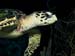 kalliesreef0414-JH-7