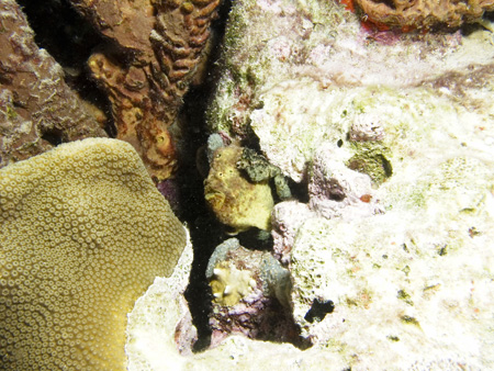 P4035283-JH