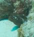 diving17_1