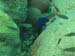 diving18_1