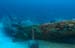 diving10