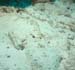 diving21