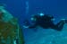 divingjan12_1