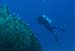 divingjan13_1