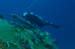 divingjan14_1
