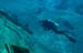 divingjan15_1