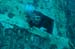 divingjan16_1