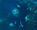 divingjan17_1
