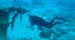 divingjan19_1