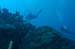 divingjan1_1
