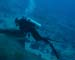 divingjan21