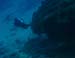 divingjan22