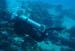 divingjan28