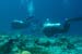 divingjan32