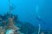 divingjan3_1