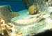 diving10512