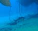 diving2