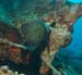 diving4