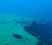 diving11