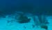 diving13