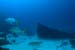 diving4_1