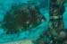 diving9_1