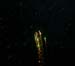 diving10531