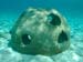 reefballs1