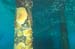 reefballs5
