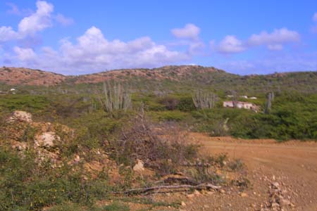 CIMG3673