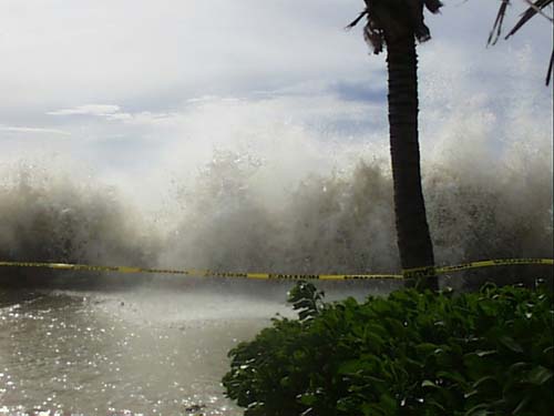 habitat_wave