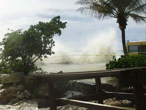 harbor_vil_wave