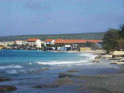 sanddollarbeach_afterjpg