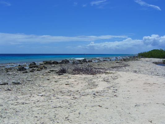 Another Guide to Bonaire Dive Sites