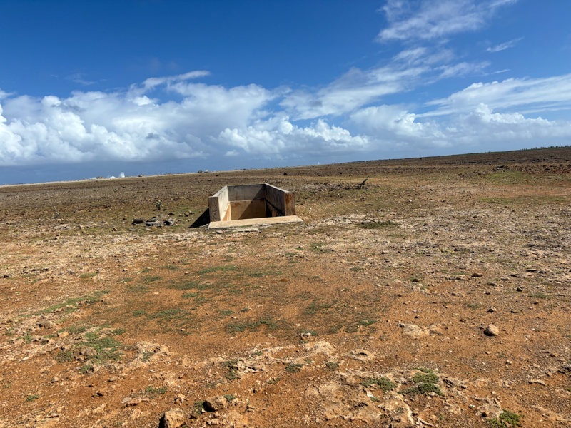 dry bonaire